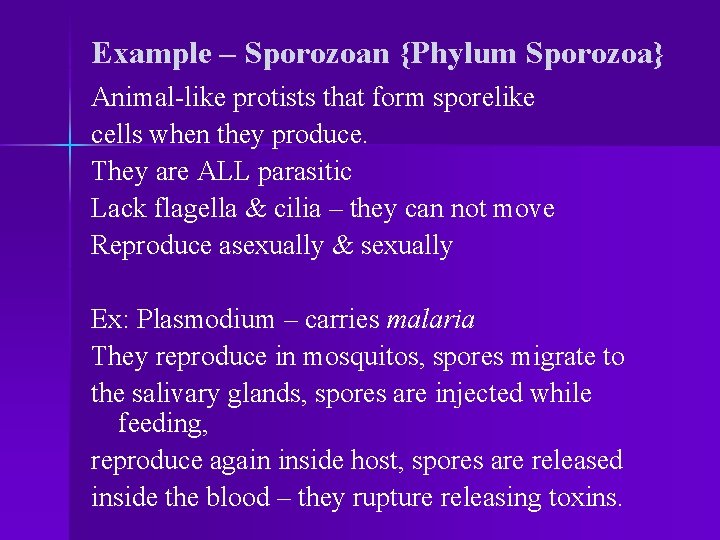 Example – Sporozoan {Phylum Sporozoa} Animal-like protists that form sporelike cells when they produce.