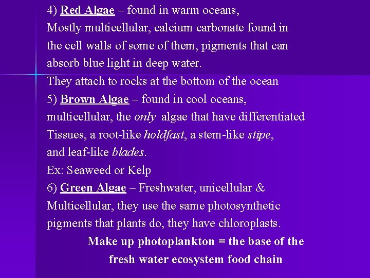 4) Red Algae – found in warm oceans, Mostly multicellular, calcium carbonate found in