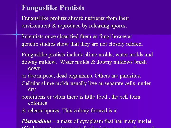 Funguslike Protists Fungusllike protists absorb nutrients from their environment & reproduce by releasing spores.