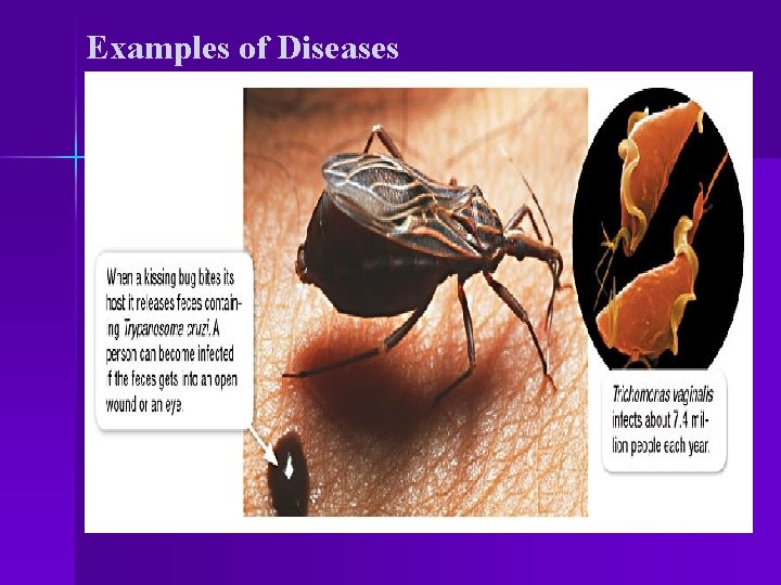 Examples of Diseases 