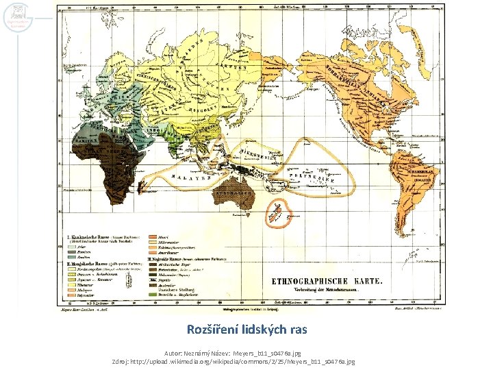 Rozšíření lidských ras Autor: Neznámý Název: Meyers_b 11_s 0476 a. jpg Zdroj: http: //upload.