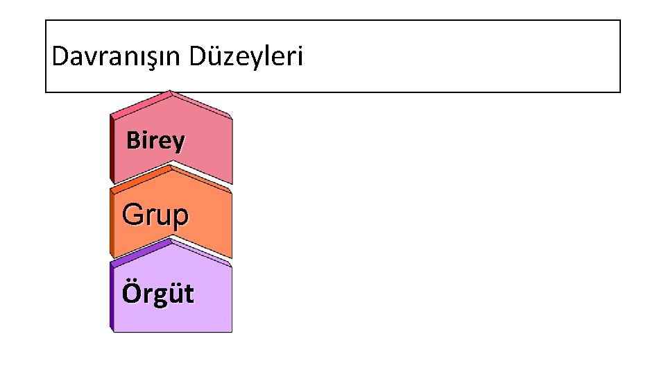 Davranışın Düzeyleri Birey Grup Örgüt 