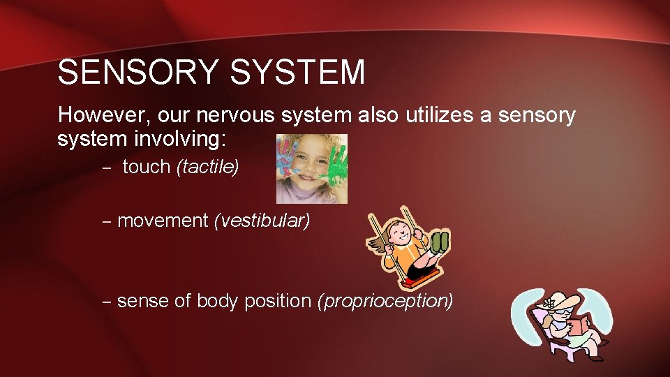SENSORY SYSTEM However, our nervous system also utilizes a sensory system involving: – touch