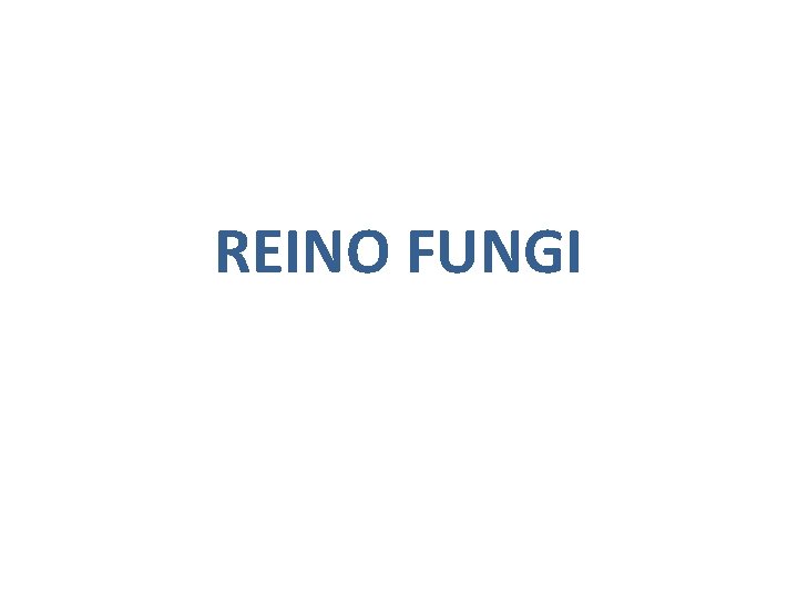 REINO FUNGI 