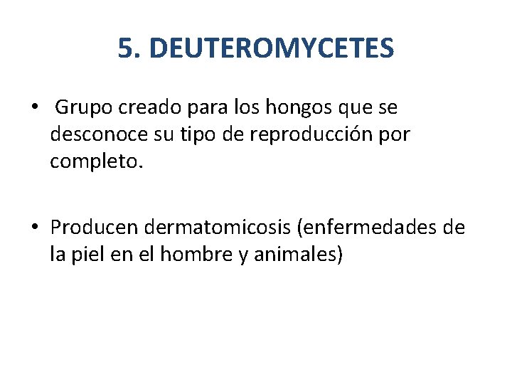 5. DEUTEROMYCETES • Grupo creado para los hongos que se desconoce su tipo de