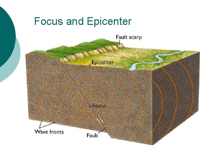 Focus and Epicenter 