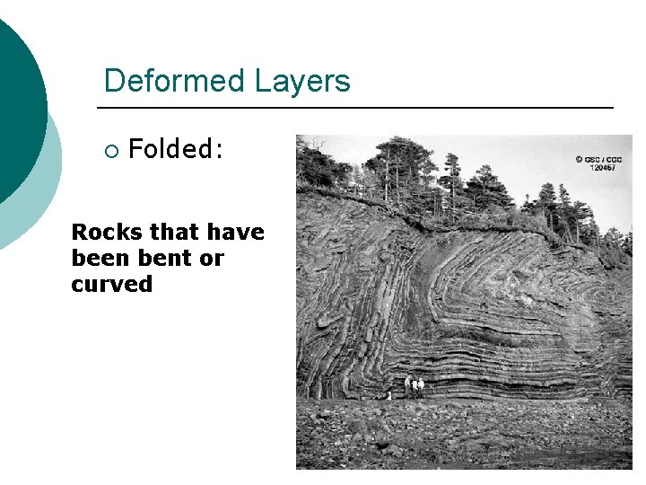 Deformed Layers ¡ Folded: Rocks that have been bent or curved 