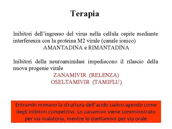 Terapia Inibitori dell’ingresso del virus nella cellula ospite mediante interferenza con la proteina M