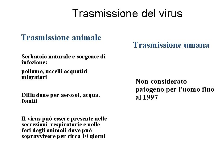 Trasmissione del virus Trasmissione animale Serbatoio naturale e sorgente di infezione: pollame, uccelli acquatici Trasmissione del virus Trasmissione animale Serbatoio naturale e sorgente di infezione: pollame, uccelli acquatici