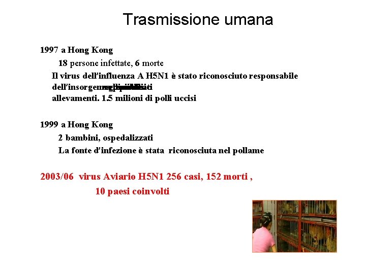 Trasmissione umana 1997 a Hong Kong 18 persone infettate, 6 morte Il virus dell’influenza Trasmissione umana 1997 a Hong Kong 18 persone infettate, 6 morte Il virus dell’influenza