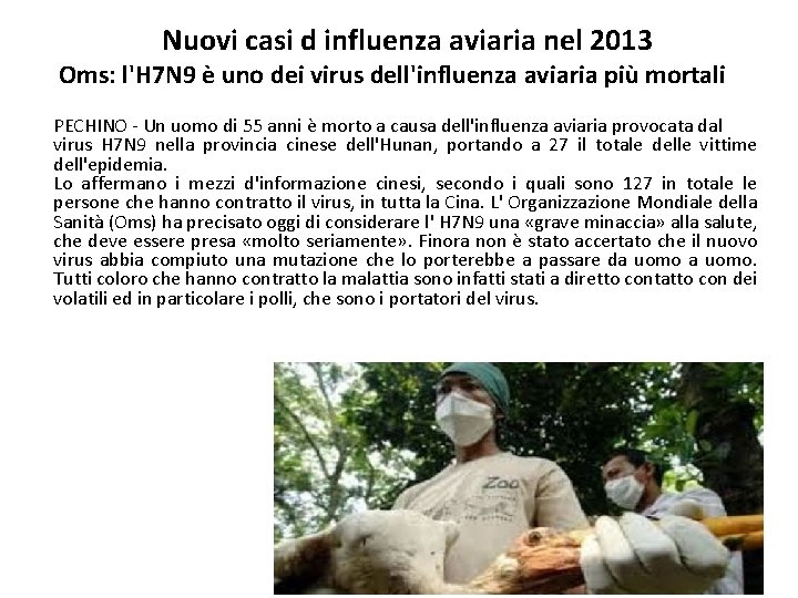 Nuovi casi d influenza aviaria nel 2013 Oms: l'H 7 N 9 è uno