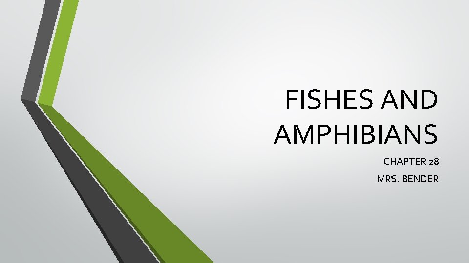FISHES AND AMPHIBIANS CHAPTER 28 MRS. BENDER 
