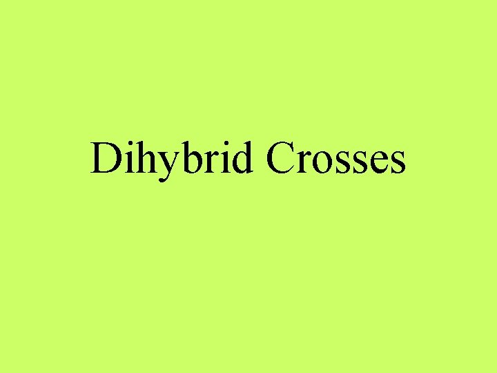 Dihybrid Crosses 