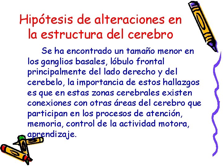 Hipótesis de alteraciones en la estructura del cerebro Se ha encontrado un tamaño menor