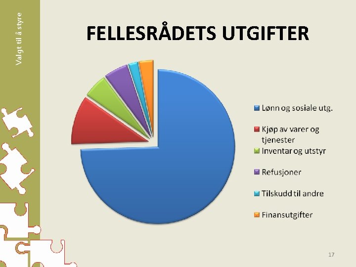 Valgt til å styre FELLESRÅDETS UTGIFTER 17 