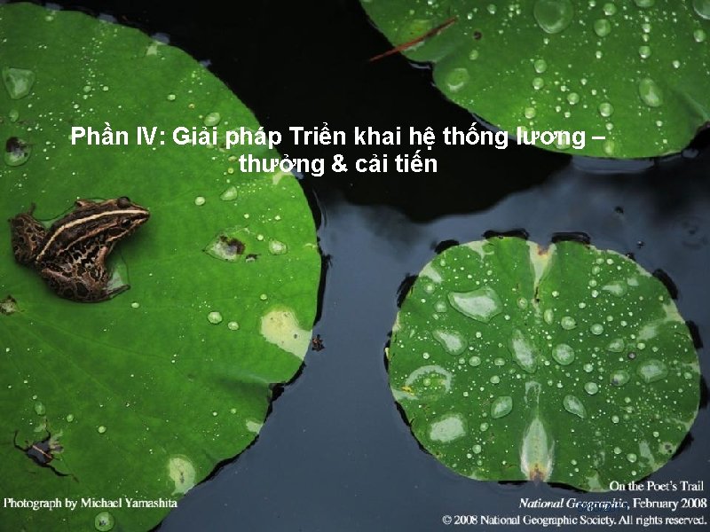 Phần IV: Giải pháp Triển khai hệ thống lương – thưởng & cải tiến