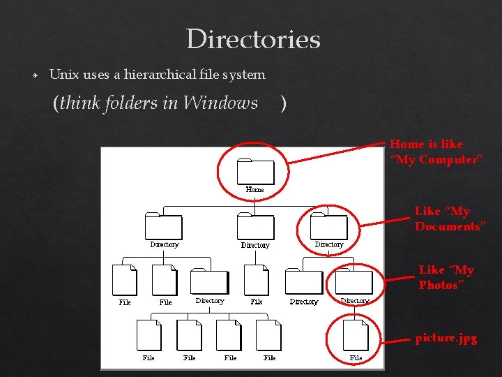 Directories ◈ Unix uses a hierarchical file system (think folders in Windows ) Home