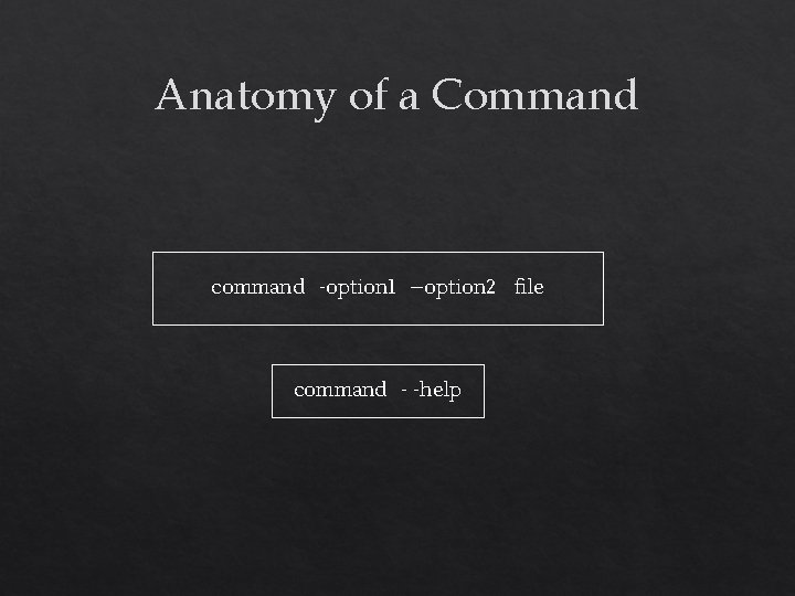 Anatomy of a Command command -option 1 –option 2 file command - -help 