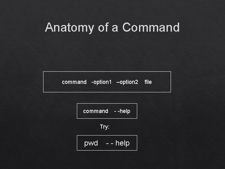 Anatomy of a Command command -option 1 –option 2 command - -help Try: pwd