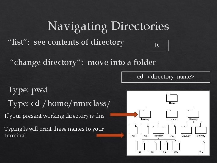 Navigating Directories “list”: see contents of directory ls “change directory”: move into a folder