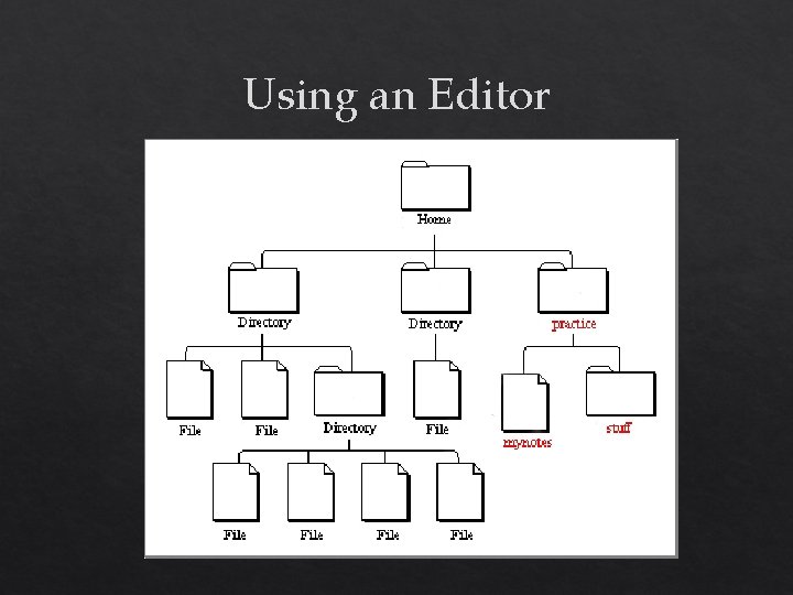 Using an Editor 