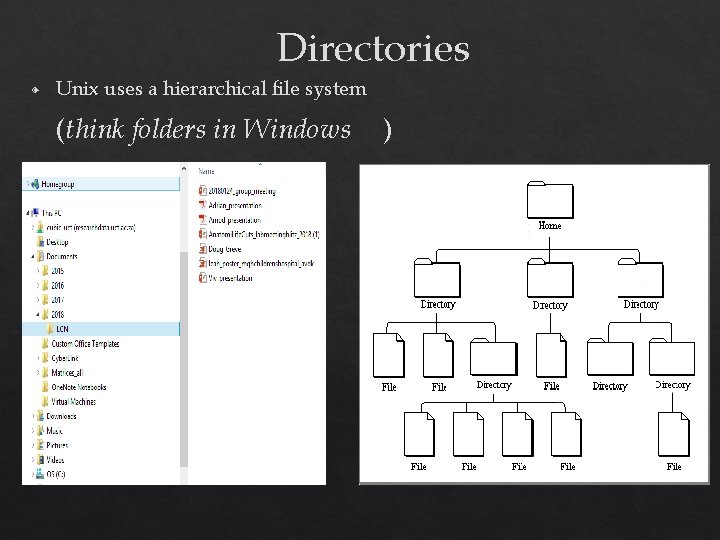 Directories ◈ Unix uses a hierarchical file system (think folders in Windows ) 