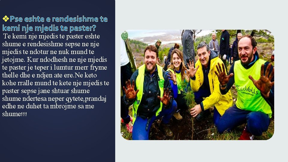 v. Pse eshte e rendesishme te kemi nje mjedis te paster? Te kemi nje