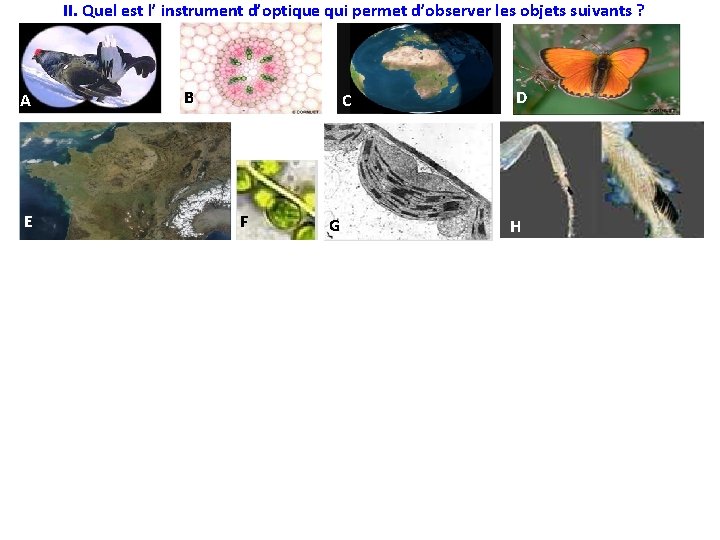 II. Quel est l’ instrument d’optique qui permet d’observer les objets suivants ? A