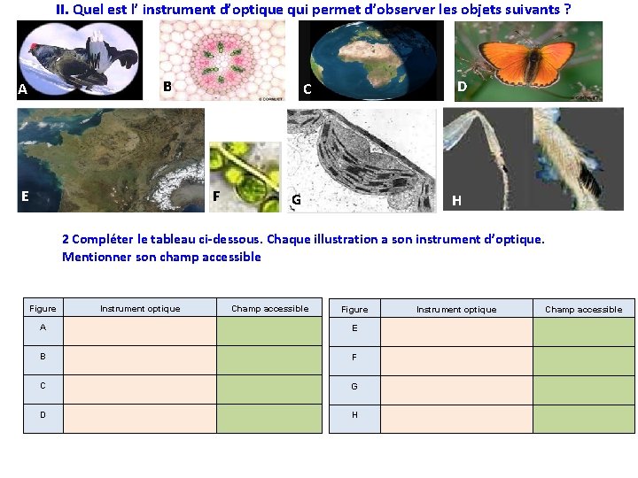 II. Quel est l’ instrument d’optique qui permet d’observer les objets suivants ? B