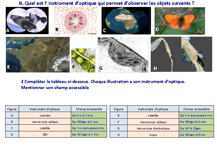 II. Quel est l’ instrument d’optique qui permet d’observer les objets suivants ? B