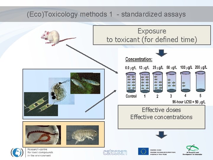 Ecotoxicologic Ecotoxicology HAZARDS RISKS Ludek Blaha ecotox colleagues Ecotoxicology