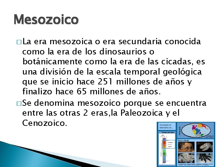 Mesozoico � La era mesozoica o era secundaria conocida como la era de los