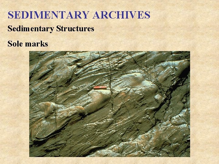 SEDIMENTARY ARCHIVES Sedimentary Structures Sole marks 