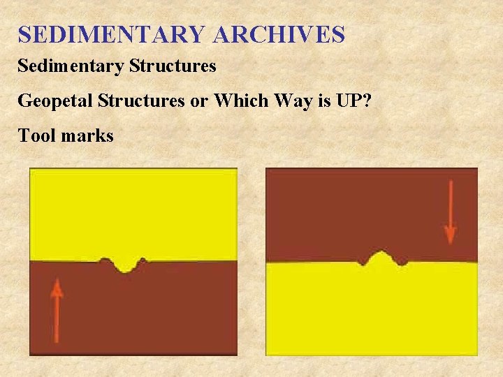SEDIMENTARY ARCHIVES Sedimentary Structures Geopetal Structures or Which Way is UP? Tool marks 