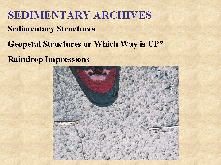 SEDIMENTARY ARCHIVES Sedimentary Structures Geopetal Structures or Which Way is UP? Raindrop Impressions 