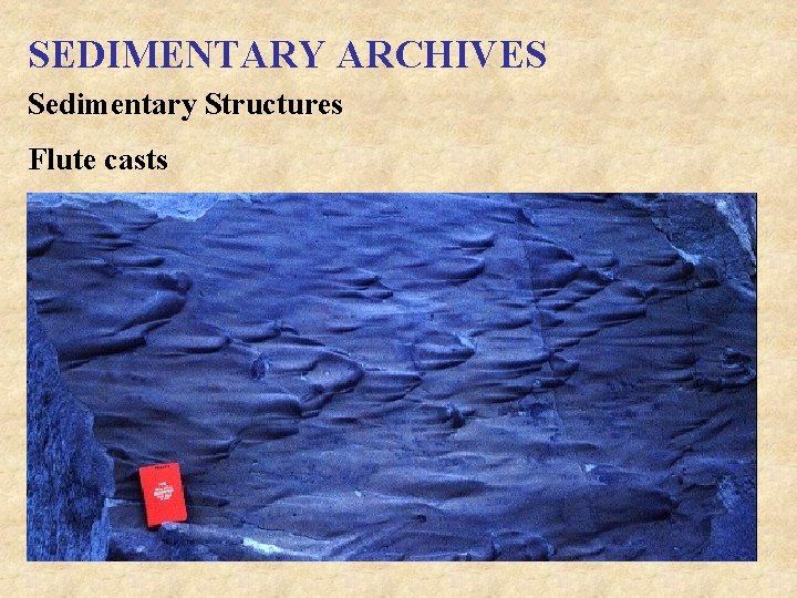 SEDIMENTARY ARCHIVES Sedimentary Structures Flute casts 