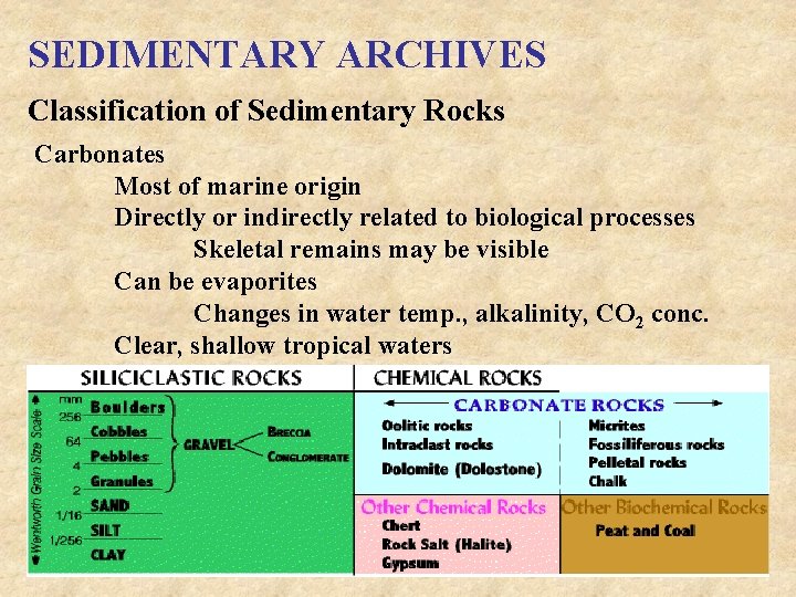 SEDIMENTARY ARCHIVES Classification of Sedimentary Rocks Carbonates Most of marine origin Directly or indirectly