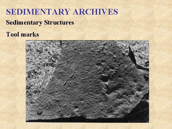 SEDIMENTARY ARCHIVES Sedimentary Structures Tool marks 