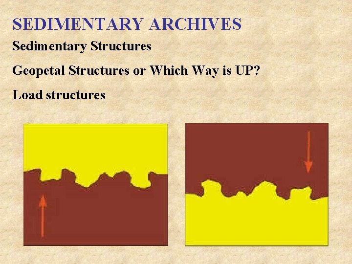 SEDIMENTARY ARCHIVES Sedimentary Structures Geopetal Structures or Which Way is UP? Load structures 