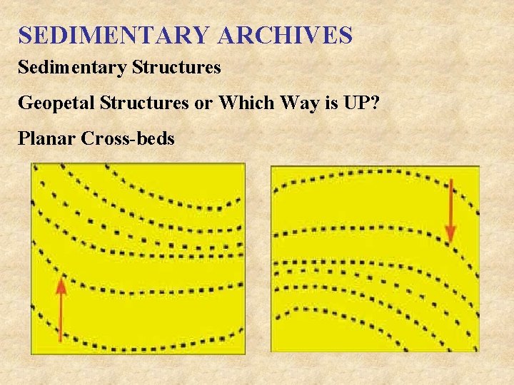 SEDIMENTARY ARCHIVES Sedimentary Structures Geopetal Structures or Which Way is UP? Planar Cross-beds 