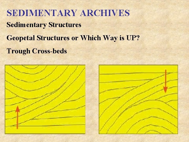 SEDIMENTARY ARCHIVES Sedimentary Structures Geopetal Structures or Which Way is UP? Trough Cross-beds 