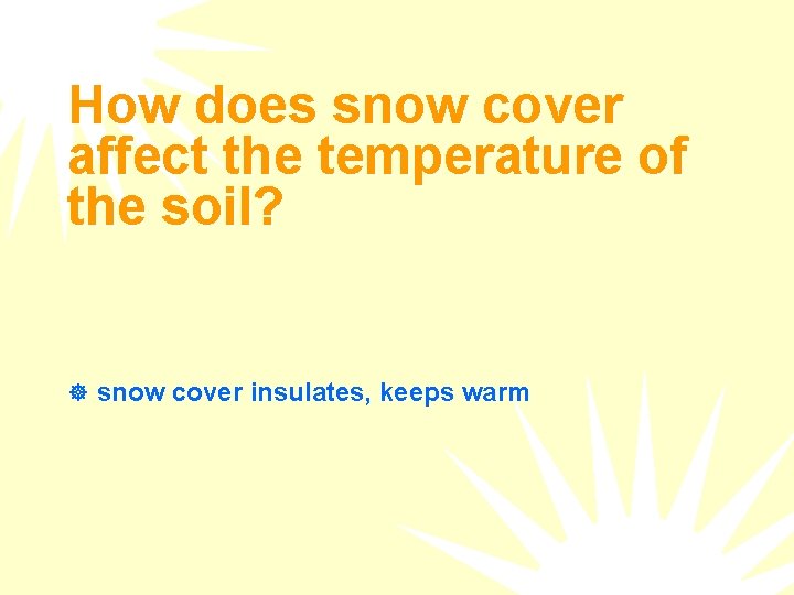 How does snow cover affect the temperature of the soil? ] snow cover insulates,