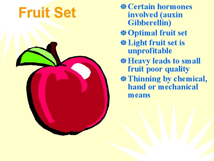 Fruit Set ] Certain hormones involved (auxin Gibberellin) ] Optimal fruit set ] Light