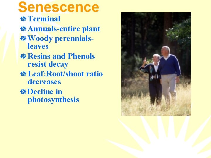 Senescence ] Terminal ] Annuals-entire plant ] Woody perennials- leaves ] Resins and Phenols