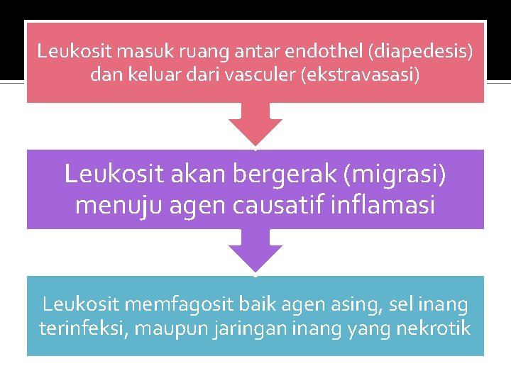 Leukosit masuk ruang antar endothel (diapedesis) dan keluar dari vasculer (ekstravasasi) Leukosit akan bergerak