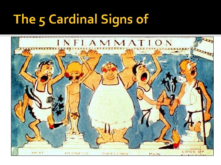 The 5 Cardinal Signs of 