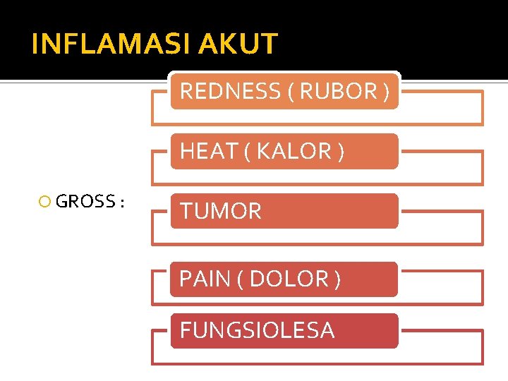 INFLAMASI AKUT REDNESS ( RUBOR ) HEAT ( KALOR ) GROSS : TUMOR PAIN