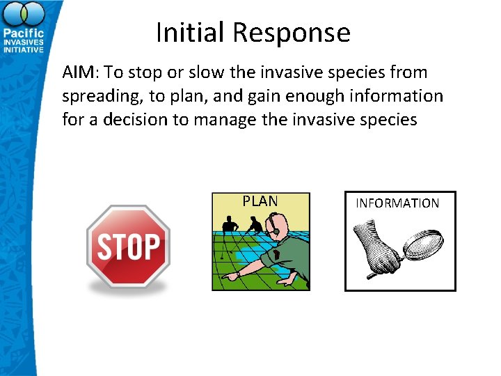 Initial Response AIM: To stop or slow the invasive species from spreading, to plan,