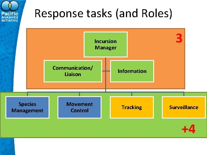 Response tasks (and Roles) 3 Incursion Manager Communication/ Liaison Species Management Movement Control Information