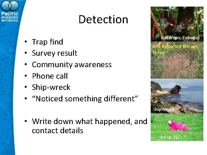 Detection • • • Trap find Survey result Community awareness Phone call Ship-wreck “Noticed